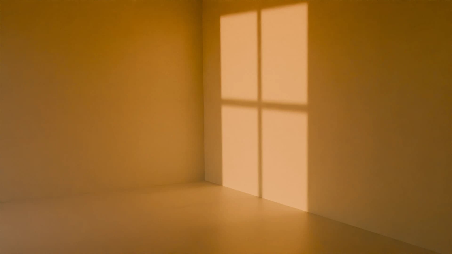 A bright sunlight scene